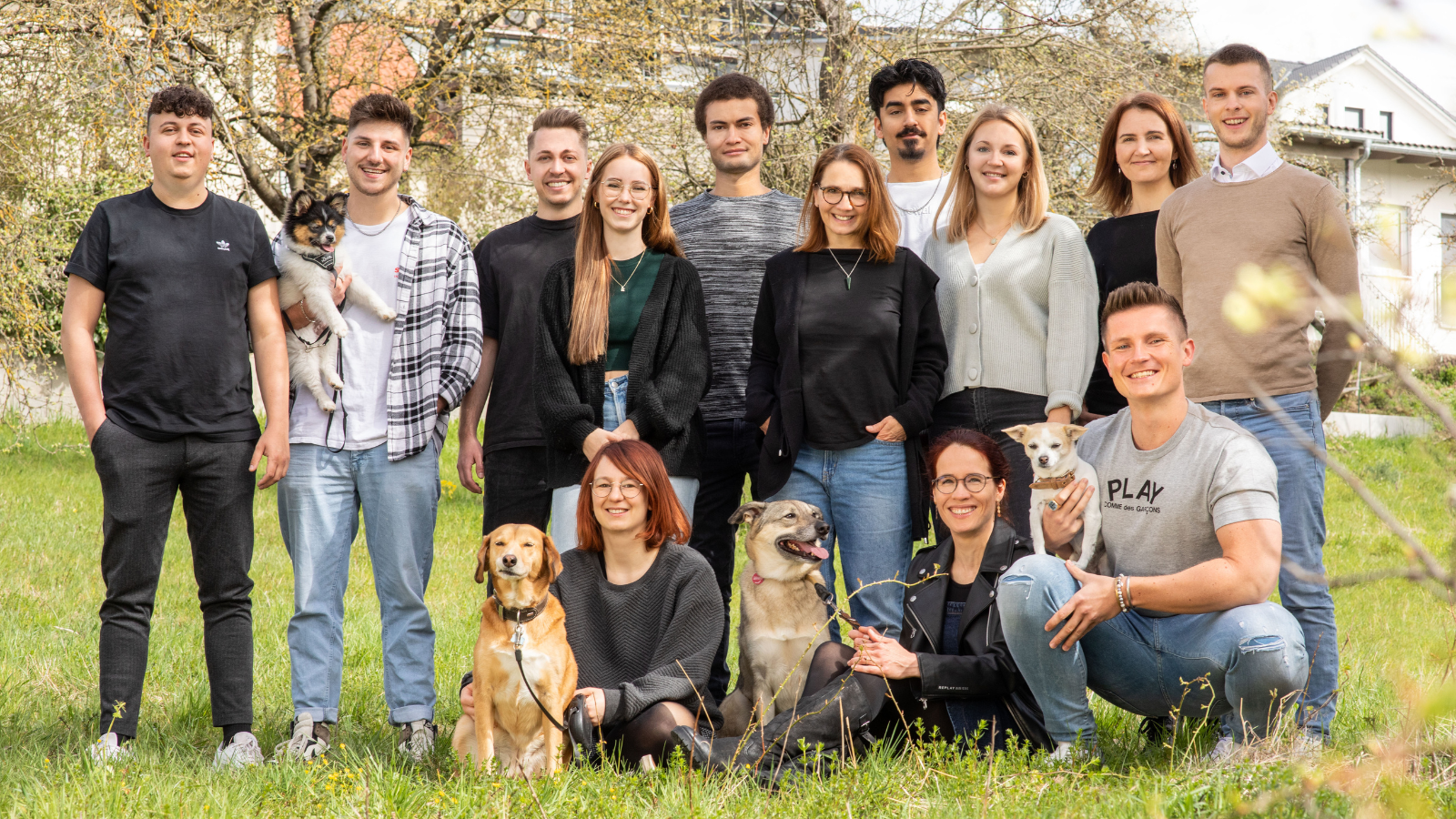 Pferdegold Team